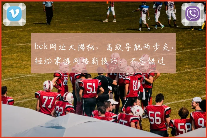bck网址大揭秘，高效导航两步走，轻松掌握网络新技巧，不容错过